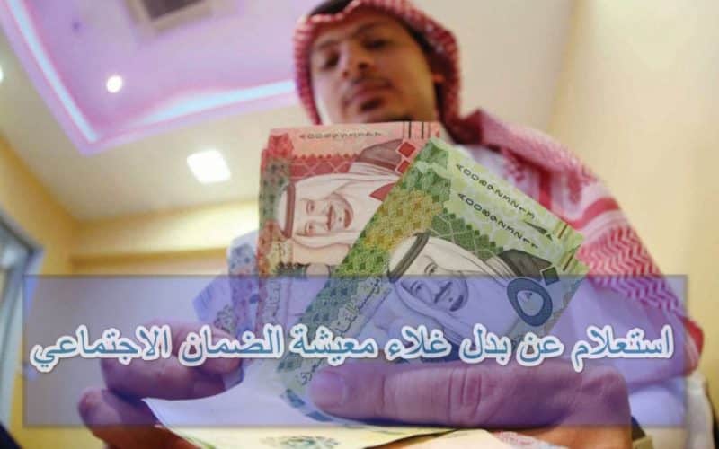 الاستعلام السريع عن حالة بدل غلاء معيشة في السعودية.