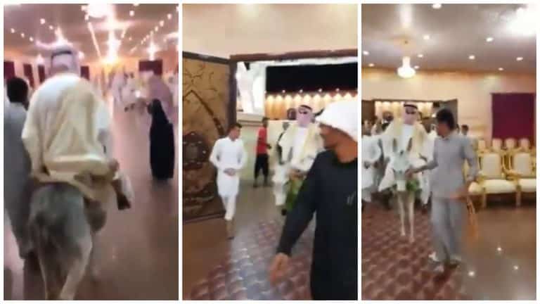 بالفيديو.. رفع دعوى قضائية على حمار وصاحبه في السعودية لهذا السبب