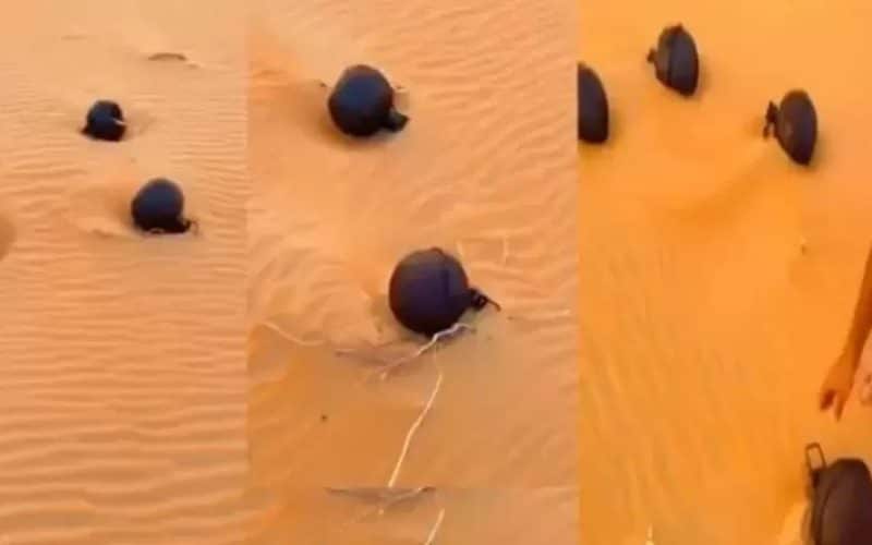شباب سعوديين يعثرون على كرات حديدية غريبة وسط صحراء الربع الخالي أثارت الحيرة في مواقع التواصل