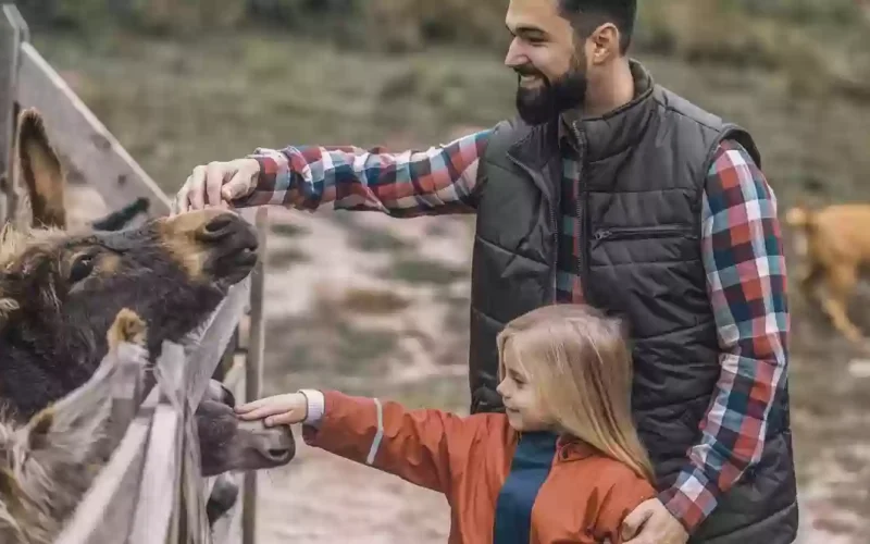 ما هو المبلغ المحدد لقرض دعم المواشي في السعودية؟