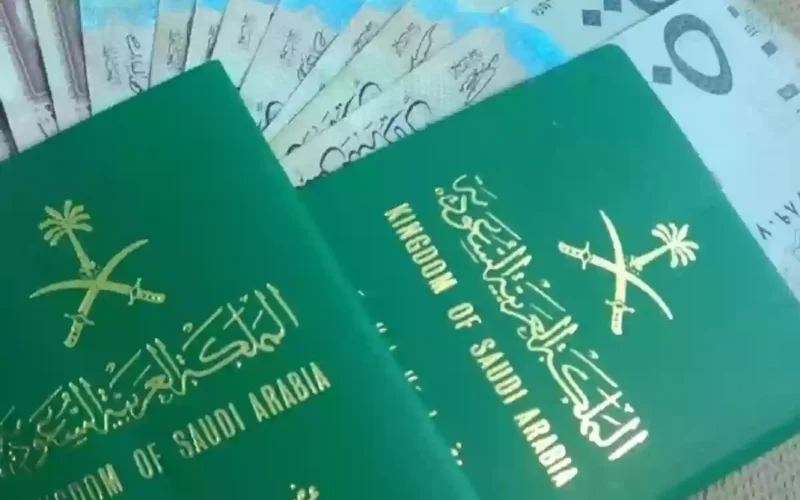 هذه الخطوات البسيطة تمكنك من الحصول على تأشيرة سعودية برقم الجواز؟ كيف يمكن تقديم طلب للحصول عليها؟