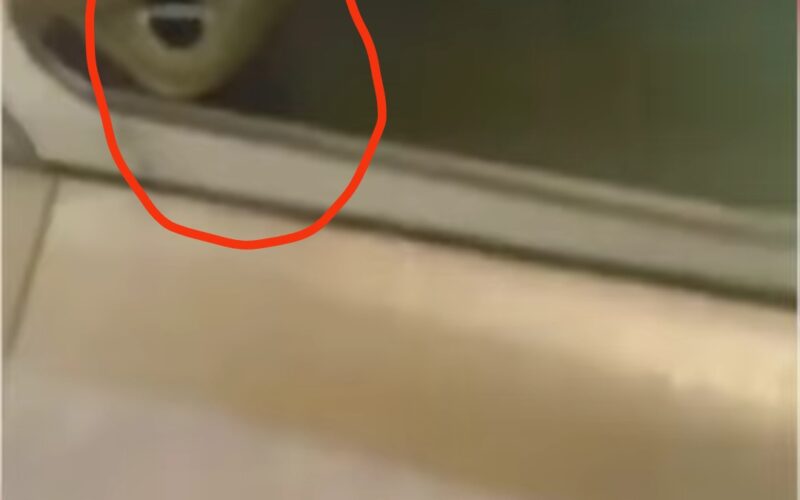 سيدة مصرية دخلت حمام أحد البنوك في القاهرة فأكتشفت مفاجأة صادمة يشيب لها رأس الولدان!! شاهد الفيديو