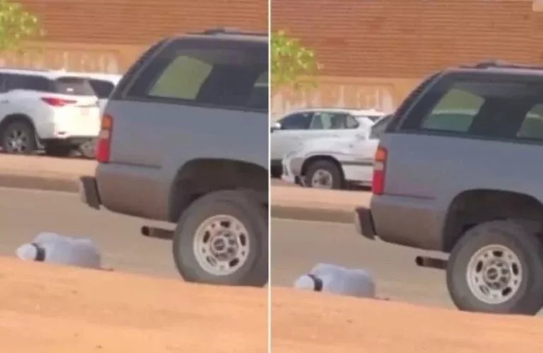 شاهد: أب سعودي تاتية نوبة قلبية على الرصيف اثناء انتظار خروج بنته من الجامعة.. فيديو