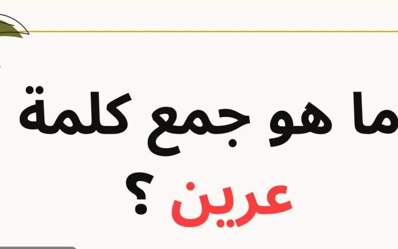 لهواة التحديات اللغوية.. هل تعلم ما هو جمع كلمة «عرين» في معجم اللغة العربية؟