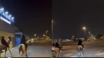 شاهد: فتاتان في السعودية يعملان هذا الشئ بالأحصنه بشارع عام بدون اي ذرة خجل