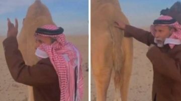 شاهد: مسن سعودي يرفض بيع ناقته بمبلغ 40 الف ويكشف عن سبب غريب!!