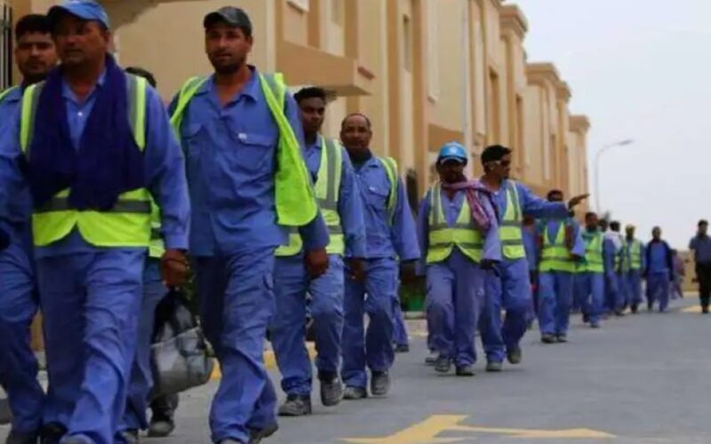 السعودية تتابع مهن العمالة الوافدة وتتحقق من المؤهلات الصحيحة …سوف يتضرر الجميع من هذا القرار !!