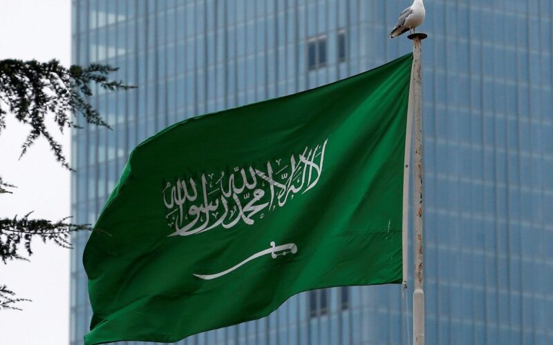 السعودية: قرار جديد بإعفاء المواطنين والمقيمين من جميع فواتير الكهرباء وتعويضهم في هذه الحالة