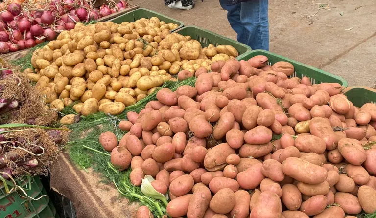 عاجل: لأول مرة يصل أرتفاع اسعار البطاطس في السعودية لهذا المبلغ الضخم!!