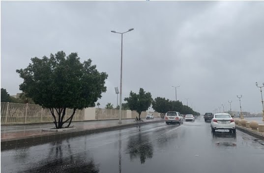 أمطار رعدية غزيرة وسيول على 4 مناطق سعودية حتى 11 مساءً.. والأرصاد تحذر