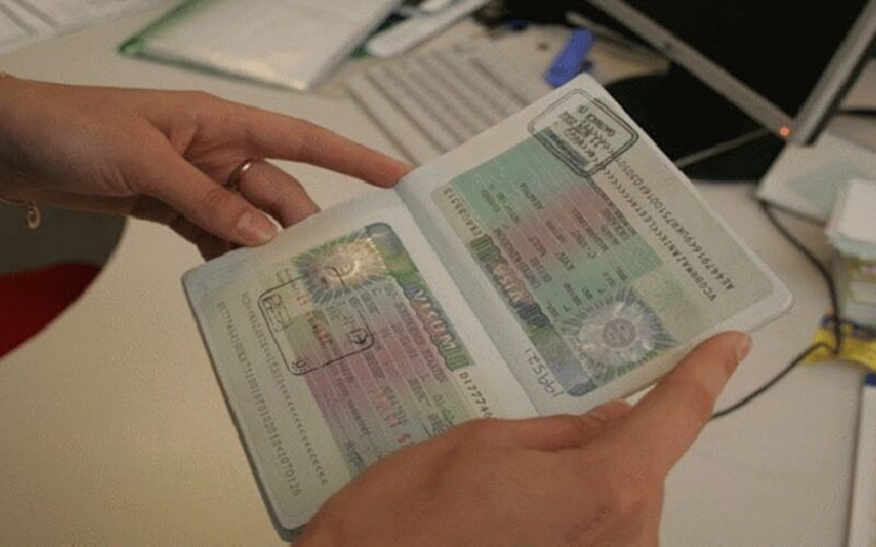 كيفية الحصول على تأشيرة العمالة المنزلية للأعزب عن طريق مساند؟