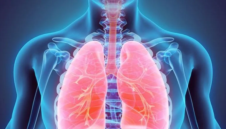 بالفيديو: وصفة طبيعية لتنظيف الرئة وتخليص الجسم من سموم التدخين يكشف عنها الدكتور إسماعيل الطراد