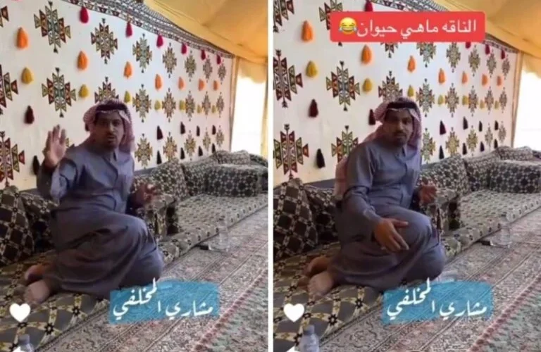 من جديد “المخلفي” مُتمسك برأيئه الى الان ان الناقة ليست حيوان لهذا السبب.. فيديو