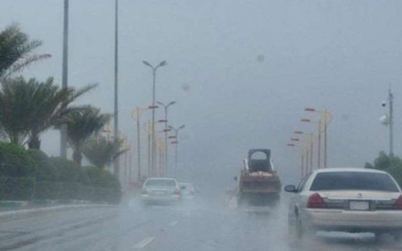 الحصيني: يُحذر من طقس 5 أيام قادمة: برد وصقيع ورياح قطبية وأمطار بهذه المناطق