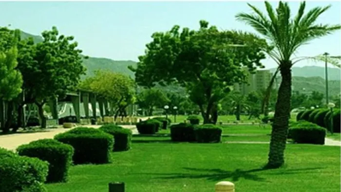 لهذا السبب يجب عليك زيارة حديقة الأمير عبدالعزيز للتنزه في العاصمة الرياض!