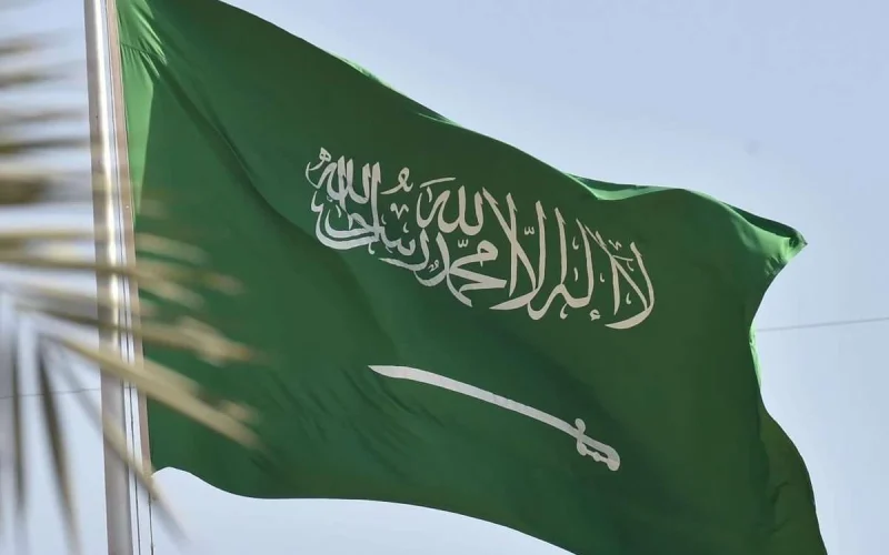 وزير المالية السعودية يعلن عن أسعد خبر والشعب السعودي يطير من الفرح!!