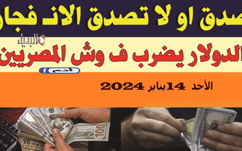ارتفاع صاروخي لسعر الدولار في السوق السوداء في مصر.. شاهد أسعار الصرف اليوم الأحد
