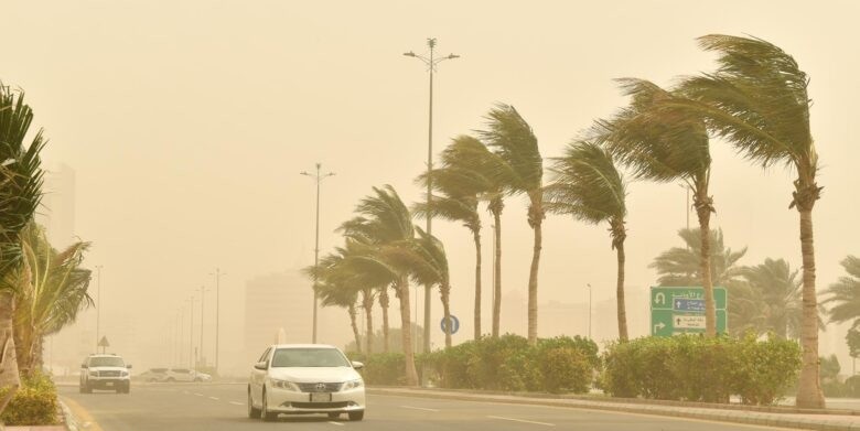 عاصفة شديدة سرعتها 49 كم/ساعة تقترب الآن من الرياض.. تعرف على المناطق الواقعة تحت دائرة الخطر