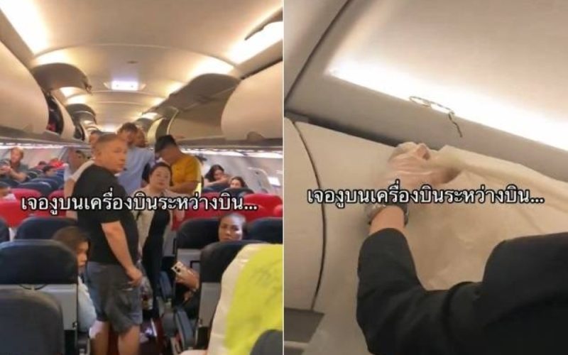 فيديو مرعب.. شاهد لحظة خروج ثعبان من وسط صندوق أمتعة الركاب داخل طائرة