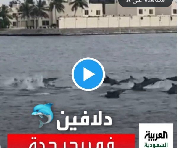 فيديو مرعب في السعودية… شاهد ظهور اسماك قاتلة تبتلع كل شيء امامها في مدينة جدة!!