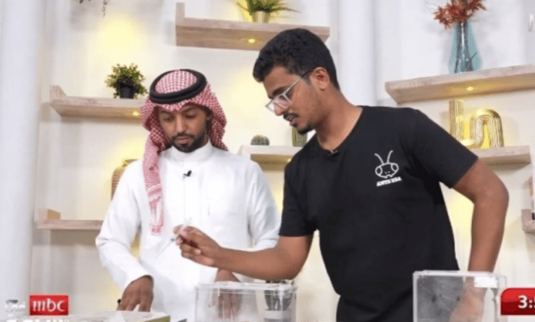 صدق او لا تصدق .. شاب سعودي يبيع النمل ب 5 الف ريال “السبب صادم”