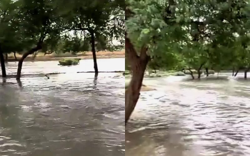 جريان السيول في الرياض لأول مرة ..منضر ساحر يخطف الأنضار !!
