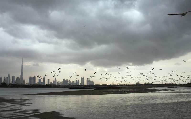 حالة الطقس غداً في الإمارات.. تعرف على المناطق الإماراتية التي ستشهد أمطاراً غزيرة