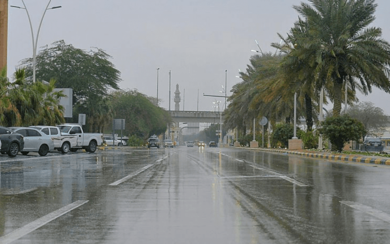 السعودية تطلق الإنذار.. هطول أمطار رعدية ورياح نشطة تعصف بـ 5 مناطق في المملكة
