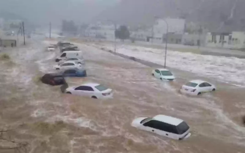 بدولة خليجية.. سيول شديدة تجرف الحيوانات وأشجار النخيل وتقتحم المنازل