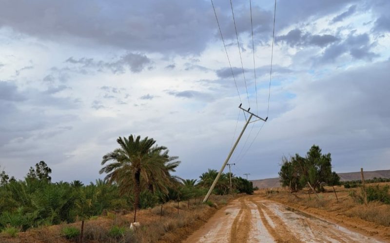 العاصفة تدمر خطوط الكهرباء وتفصلها عن الخدمة  في شقراء