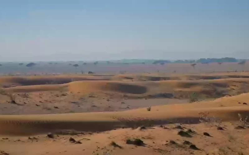 ظهور حيوان غريب يتحدى الصحراء في السعودية يثير الرعب ويصيبهم بحالة من الخوف والهلع
